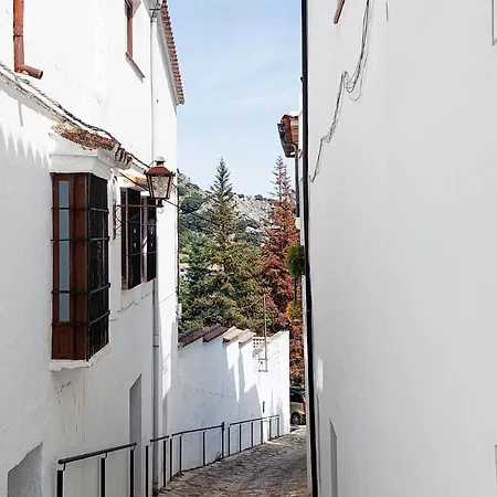 Pet Friendly Home In Grazalema With Kitchen Exterior photo