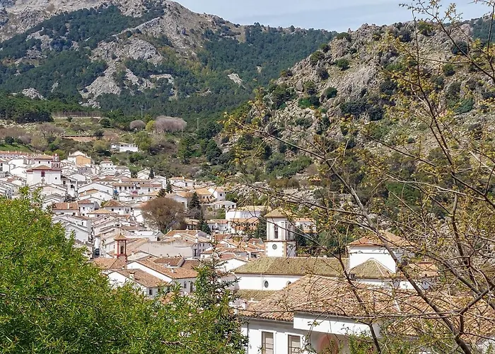 Pet Friendly Home In Grazalema With Kitchen
